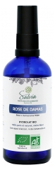 Salvia Nutrition Rosa Damascena Biologica 100 ml