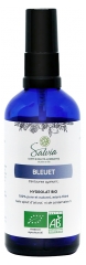 Salvia Nutrition Bleuet Bio 100 ml