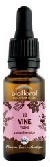 Biofloral Bach Flower Remedies 32 Vine Organic 20 ml