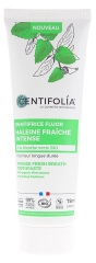 Centifolia Dentifrice Fluor Haleine Fraîche Intense Bio 75 ml