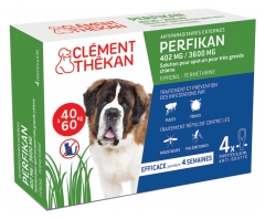 Clément Thékan Perfikan 402 mg/3600 mg Très Grands Chiens 4 Pipettes