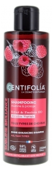 Centifolia Shampoing Illumine &amp; Protège Bio 200 ml