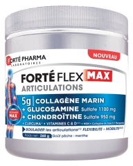 Forté Pharma Forté Flex Max Articulations 260 g