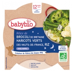 Babybio Bonne Nuit Délice de Brocoli Haricots Verts Riz 12 Mois et + Bio 230 g