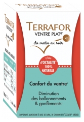 Laboratoire Source Origine Terrafor Ventre Plat 60 Gélules Végétales