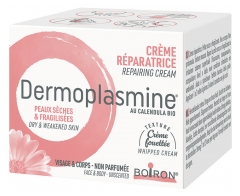 Boiron Dermoplasmina Crema Riparatrice 20 g