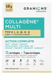 Granions Col&aacute;geno + Multi Tipo I, II, III, V, X 260 g