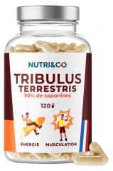 Nutri&amp;Co Tribulus Terrestris 120 Kapsler
