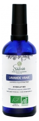 Salvia Nutrition Biologische Echte Lavendel 100 ml