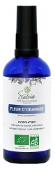Salvia Nutrition Biologische Oranjebloesem 100 ml