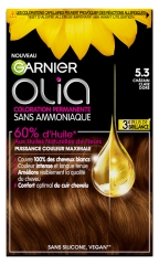 Garnier Olia Ammonia-Free Permanent Hair Colour 120 g