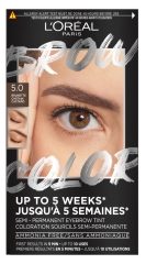 L'Oréal Paris Brow Color Coloration Sourcils Semi-Permanente 30 ml - Teinte : 5.0 Brunette / Châtain