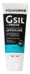 Aquasilice Gel Articular Superconcentrado Gsil Freeze 50 ml