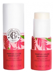 Gingembre Rouge Parfum Solide Bienfaisant 5 g