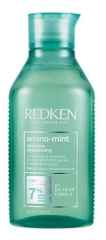 Redken Champ&uacute; Amino Menta Para el Cuero Cabelludo