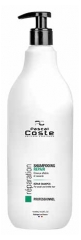 Pascal Coste Champ&uacute; Reparador Profesional 1L