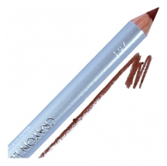 Parisax Pro Creion de buze culoarea prunelor