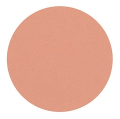 Parisax Pro Fard à Paupières Mat Rose Saumon Parisax
