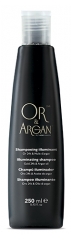 Guld & Argan Glansschampo Guld & Argan 250 ml