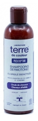 Shampooing Stimulant Anti-Chute Dermotonic Terre de Couleur
