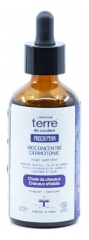 Terre de Couleur Bioconcentré Anti-chute Dermotonic