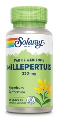 Solaray Erba di San Giovanni 60 Capsule Vegetali