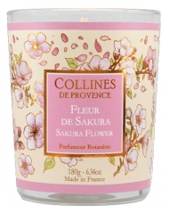 Lum&acirc;nare Parfumată Collines de Provence Les Estivales 180 g
