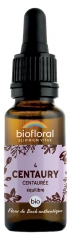 Biofloral Bachove cvetne esence 04 Centaury Bio 20 ml