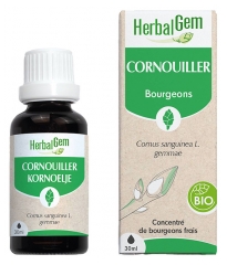 HerbalGem Cornouiller Bio 30 ml