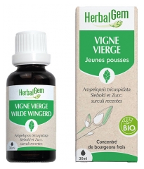 HerbalGem Vigne Vierge Bio 30 ml