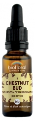Biofloral Fleurs de Bach 07 Chestnut Bud Bio 20 ml