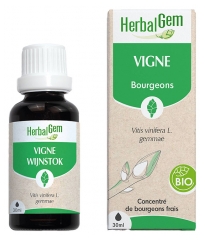 HerbalGem Vynuogės Bio 30 ml