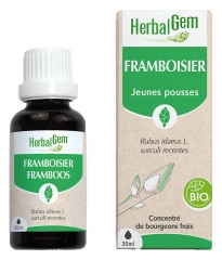 HerbalGem Hindb&aelig;r &Oslash;kologisk 30 ml