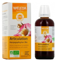 Weleda Gewricht Harpagophyton Bio 100 ml