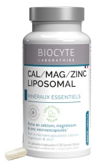 Biocyte Longevity Cal/Mag/Zinc Liposomal 60 Gélules