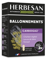 Herbesan Carbogaz 45 Cápsulas