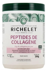 Richelet Pept&iacute;deos de Colag&eacute;nio 288 g