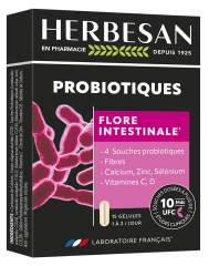 Herbesan Probiotiki Črevesna Flora 15 Kapsul