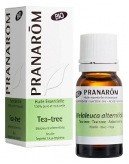 Pranarôm Huile Essentielle Tea-Tree (Melaleuca alternifolia) Bio 10 ml