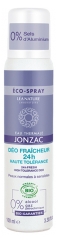 Eau Thermale Jonzac D&eacute;o Fra&icirc;cheur 24H Haute Tol&eacute;rance Bio 100 ml