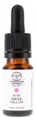 Elixirs & Co Bachbloesems N&deg;38 Saule Bio 10 ml