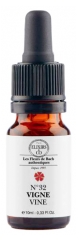 Elixirs & Co Elixirs De Bach N°32 Vigne Bio 10 ml