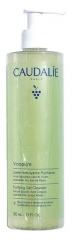 gel Limpiador Purificante Bio 385 ml