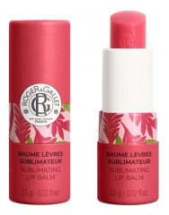 Roger &amp; Gallet Zenzero Rosso Balsamo Labbra Sublimante 3,5 g