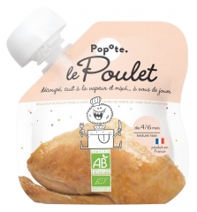 Popote Punga tip "Gourde" Pui Piure De La 4/6 Luni Bio 60 g