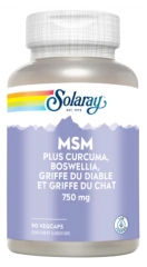 Solaray MSM 750 mg 90 Végécaps