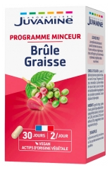 Juvamine Brûle Graisse 60 Gélules