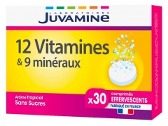 Juvamine 12 Vitaminai &amp; 9 Mineralai 30 Putojančios Tabletės