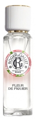Roger & Gallet Fleur de Figuier Wellbeing Fragrant Water ml