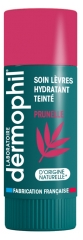 Dermophil Indien Soin Teinté Protection Lèvres 4 g - Teinte : Prunelle